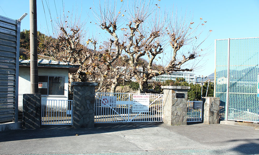 �����J���L�c�������̉摜